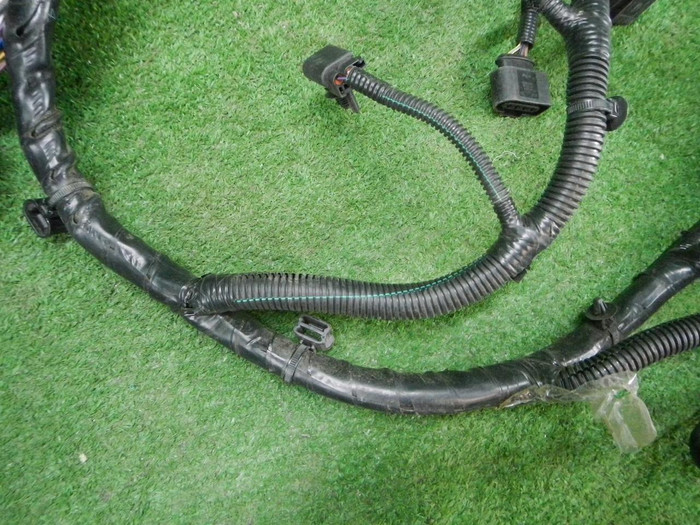 DSCN1946.JPG