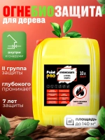 Огнебиозащита II группа PaintPRO 10л