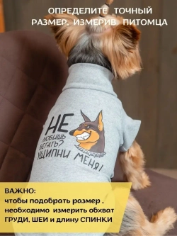 Футболка для собак мелких средних пород и кошек