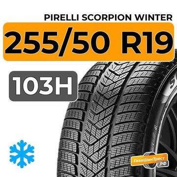 Pirelli Scorpion Winter 255/50 R19 103H