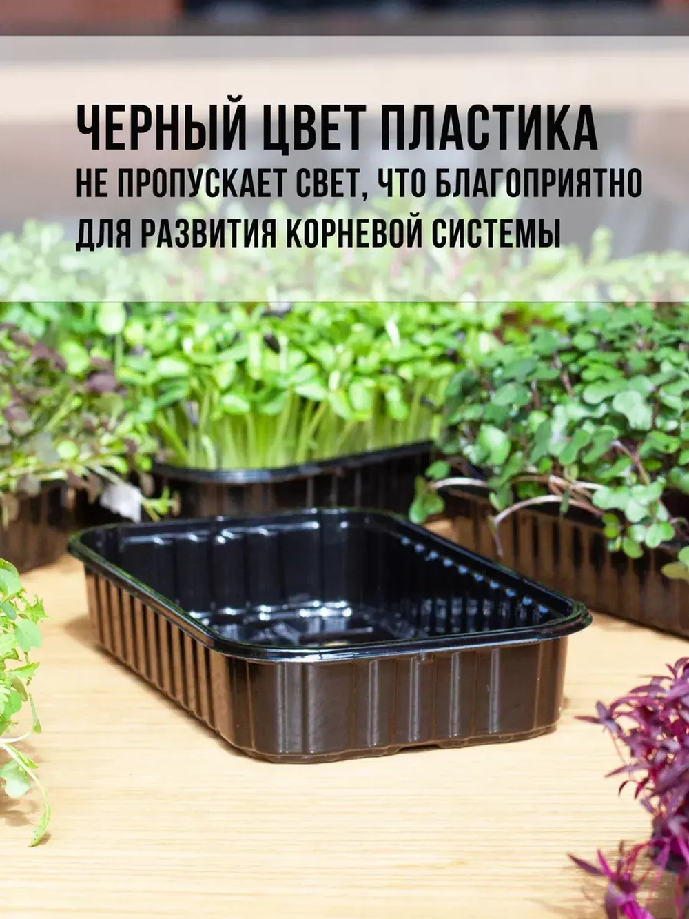 Лотки для выращивания микрозелени пластиковые 900 МЛ, 10 ШТ