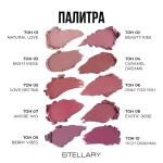 Stellary Hydrating Lipstick Cult Classic Увлажняющая губная помада с гиалуроновой кислотой 10 Бордовый