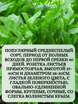 Семена Набор Щавель 3 шт