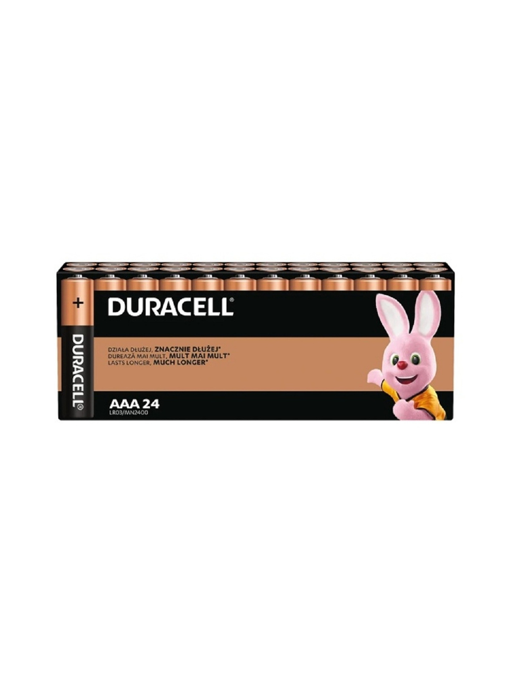 DURACELL LR03-24BL BASIC AAA (MN2400) (24 шт. в уп-ке)