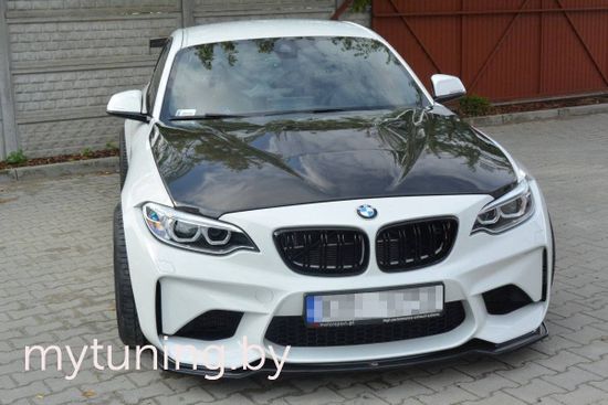 Сплиттер бампера переднего V.3 для BMW M2 F87 (16-...)