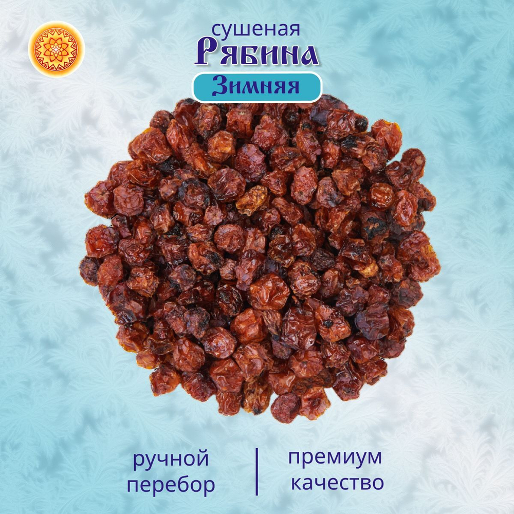 Рябина Алтайская "Зимняя"