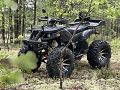 Квадроцикл PROMAX 320 DOMINATOR (2025)