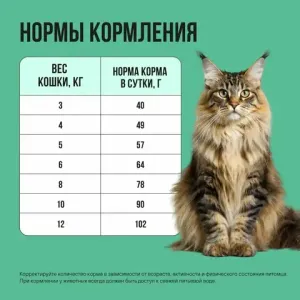 Сухой корм BOWL WOW для стерилизованных кошек с индейкой, курицей и шпинатом
