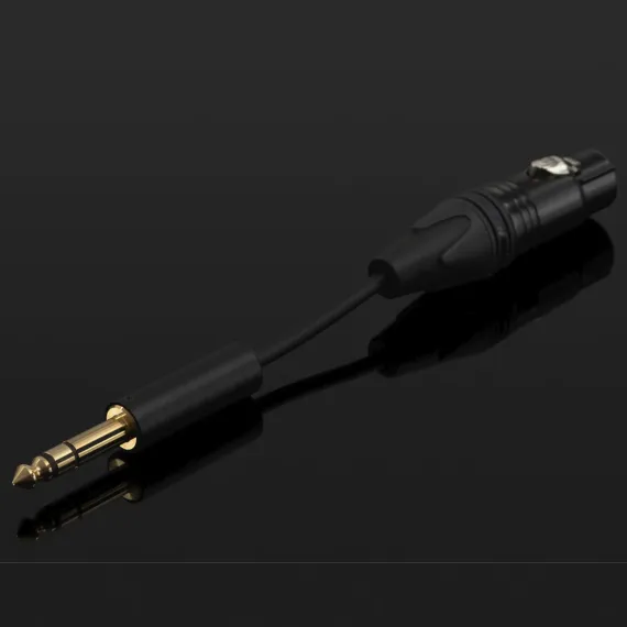 Final Audio DX10000CL Black Silver