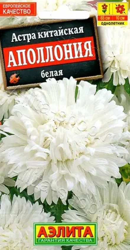 Астра Аполлония белая 0,2 гр Аэлита