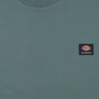  Футболка мужская Dickies Skateboarding Mount Vista Shirt артикул:WSSK6_green - купить в магазине Дайс
