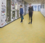 marmoleum vivace