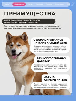Корм сухой для взрослых собак породы Акита-ину, премиум полнорационный комплекс, с говядиной, 12 кг, QUATTRO