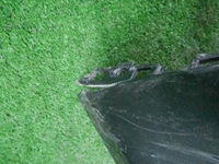 DSCN5335.JPG