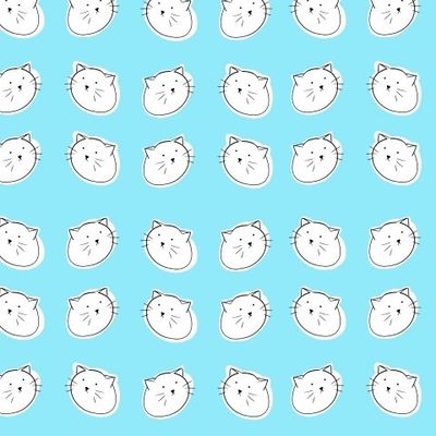 Котик