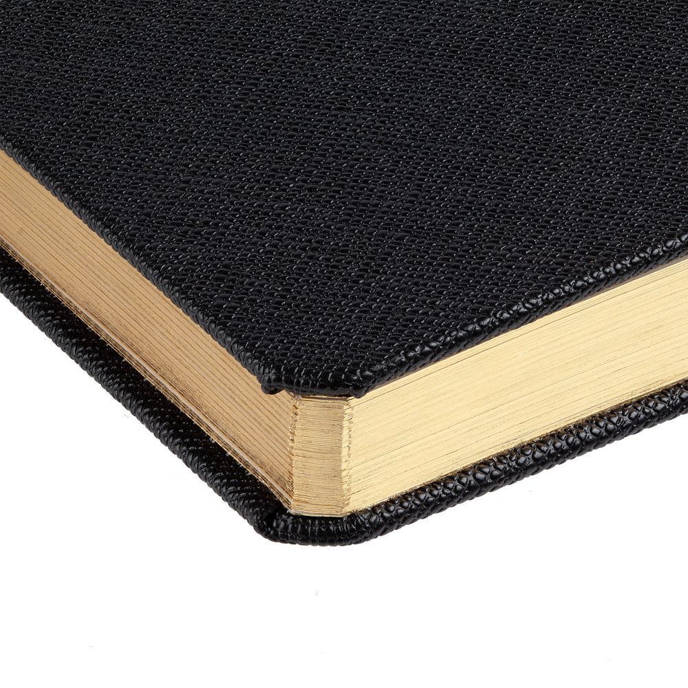 Недатированный ежедневник Parker (PL1113305)