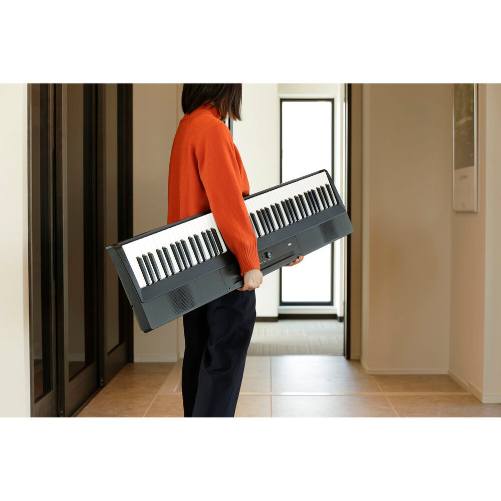 Korg L1