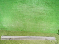 DSCN3157.jpg