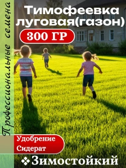 Тимофеевка луговая (газон) - 300 гр.