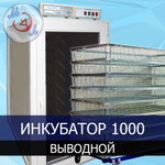 Инкубатор автоматический на 1000 яиц ИФ-1000-У-МЭЛ