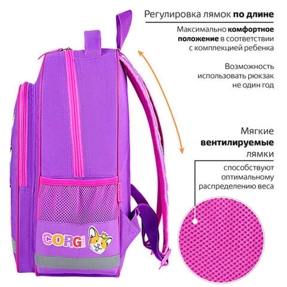 Рюкзак ПИФАГОР SCHOOL, 1 отделение, 3 кармана, "Corgi queen", 38x28х14 см, 272085