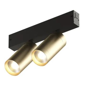 Трековый светильник 18W 3000-6000К DK8012-BG матовое золото Smart Spot Denkirs