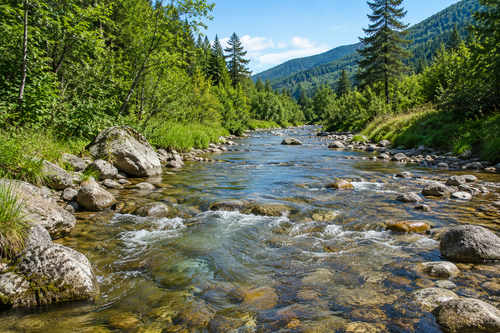 ChatGPT_Image_22_авг._2026_г.__20_10_58.png