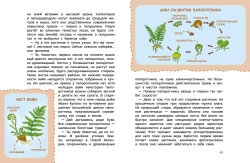 Растения и грибы. Детские энциклопедии с Чевостиком