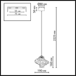 Подвесной светодиодный светильник Odeon Light Ordi 5107/3L
