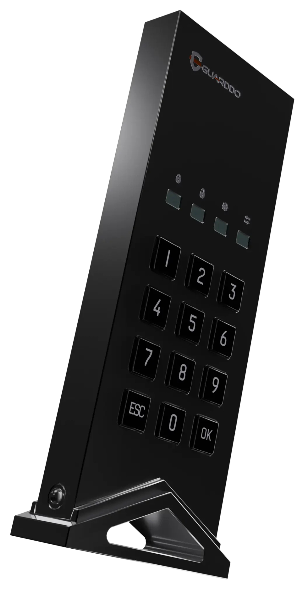 SSD-диск Pro Edition GuardDo с паролем и шифрованием AES-256
