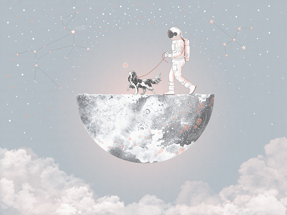 Коллекция COSMOS 25