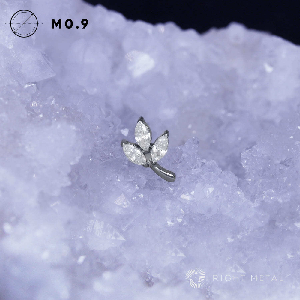 Fondness Crystal