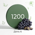 День 6