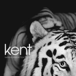 Kent / Vapen & Ammunition (LP)