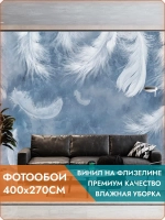 Фотообои на стену Воздушные перья 400х270см