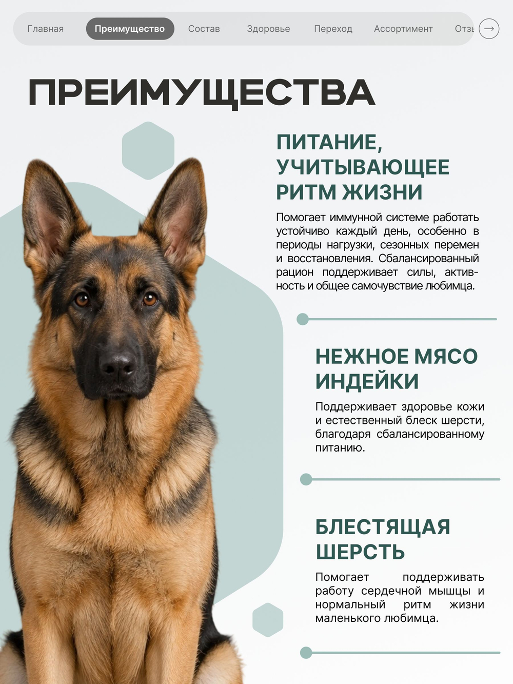 Корм сухой полнорационный для собак средних и крупных пород SF Immuno Balance, (гистиоцитарные опухоли), 12 кг, QUATTRO