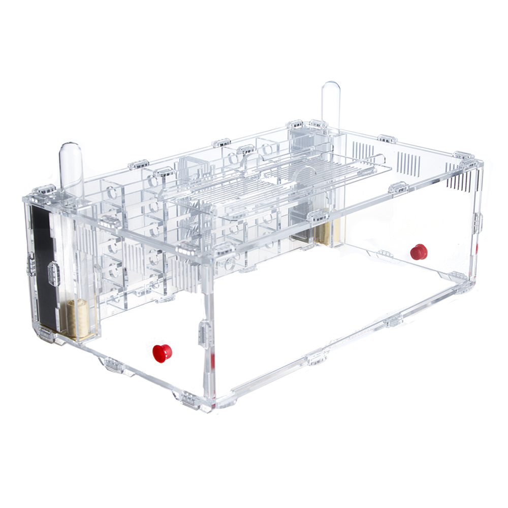 Crystal XL 3.0