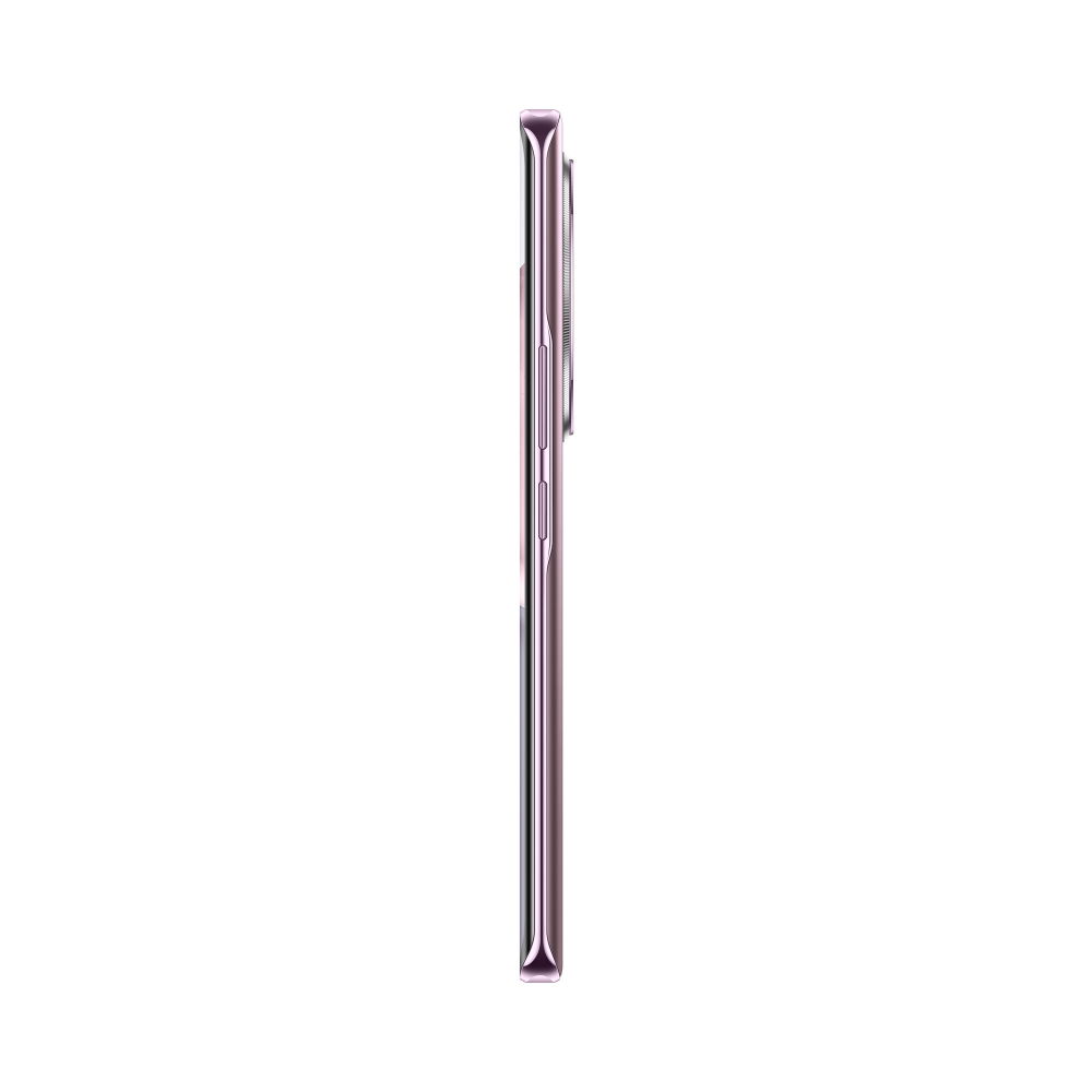Смартфон Honor X9c 8/256GB, Dual nano SIM, Титановый фиолетовый RU