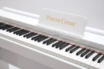 Pierre Cesar DP-12-PH