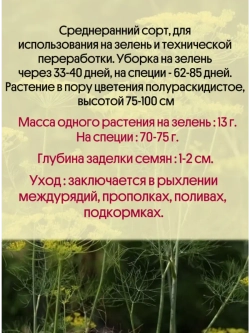 Укроп Зонтик 10 гр