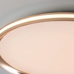 Потолочный cветильник LED4U L3020-500 GD