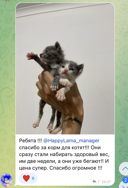Оригинальный отзыв