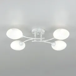 Потолочная люстра Флорида CL148140 Citilux