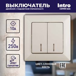 Выключатель Intro Solo 4-105-02 двухклавишный с подсветкой, 10А-250В, IP20, СУ, слоновая кость | Intro Solo