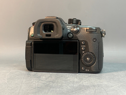Panasonic Lumix GH5S 4.025 кадров
