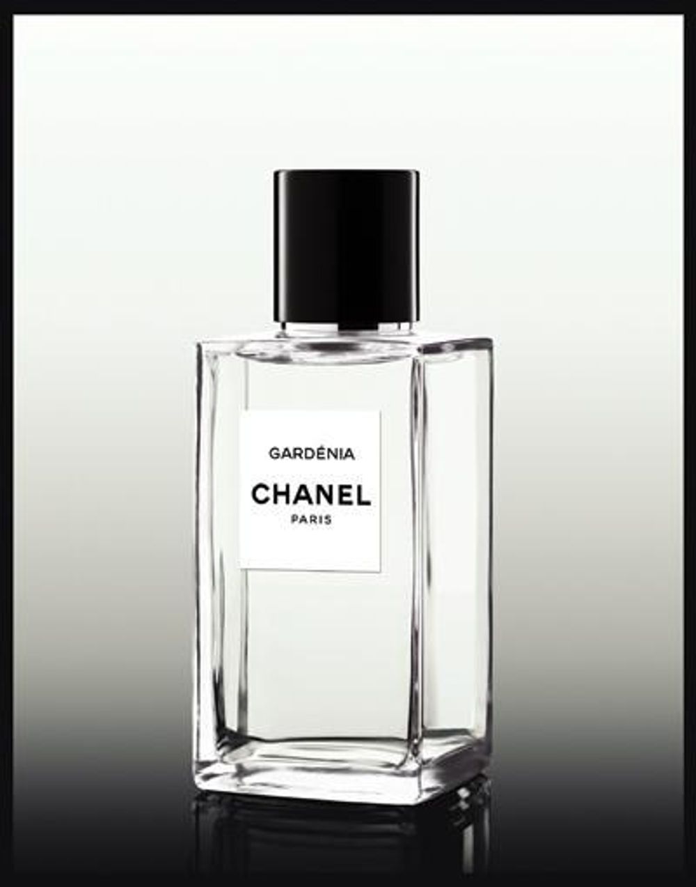 Chanel Gardenia