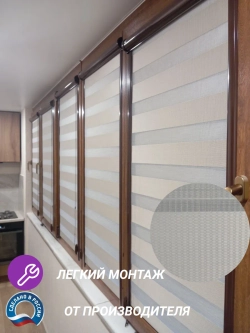 Рулонные шторы День-Ночь 55х120 см