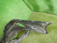 DSCN8595.jpg