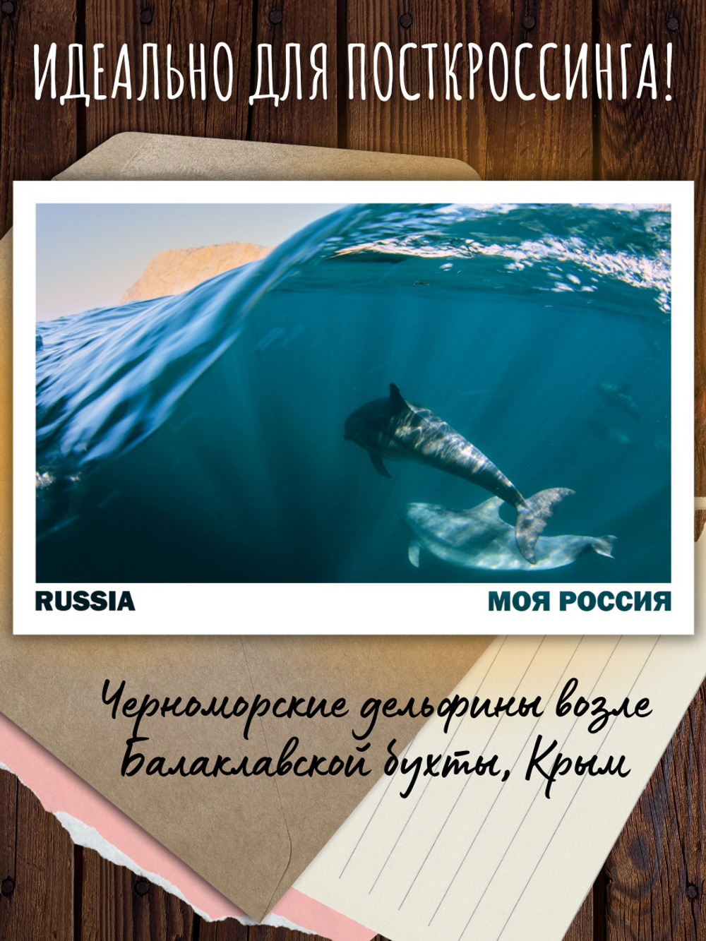 Моя Россия. Лето (выпуск №3, 2024)