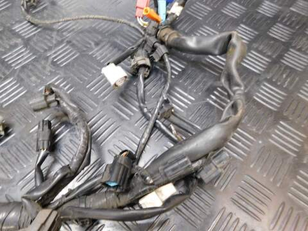 Коса электропроводки Honda Shadow VT400S NC46